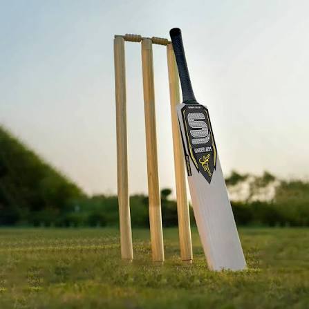 Premium Cricket Bat